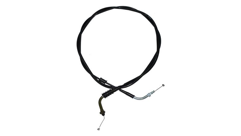 GAZ HALATI (ZENZERO)